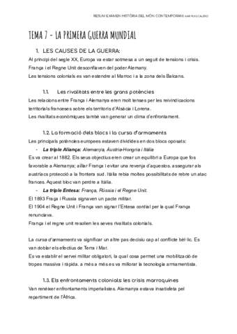 PRIMERA-GUERRA-MUNDIAL.pdf