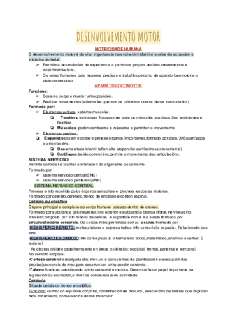 DESENVOLVEMENTO-MOTOR.pdf