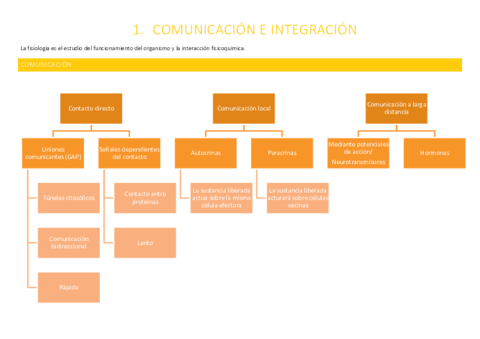 Apuntes-fisiologia-finales.pdf