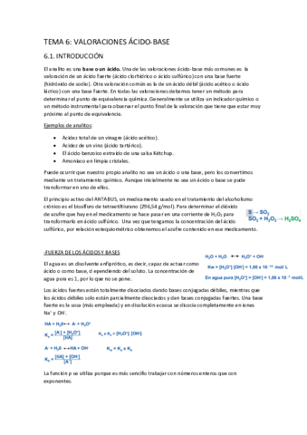 TEMA-6.pdf