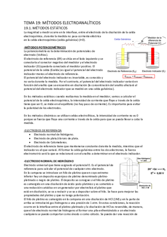 TEMA-19.pdf