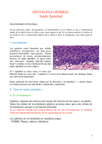Tejido-epitelial-copia.pdf