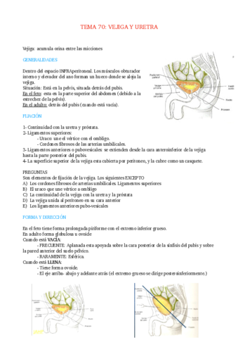 TEMA-70-VEJIGA-Y-URETRA.pdf