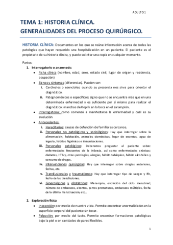 ADULTO-TODO.pdf