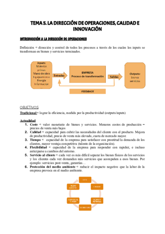 TEMA-5-IDE.pdf