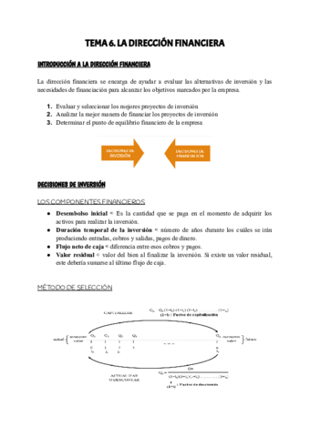 TEMA-6-IDE.pdf