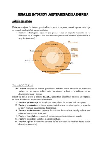 TEMA-2-IDE.pdf