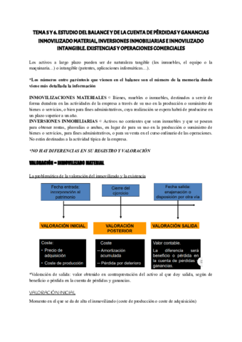 TEMA-5-Y-6-CONTABILIDAD.pdf
