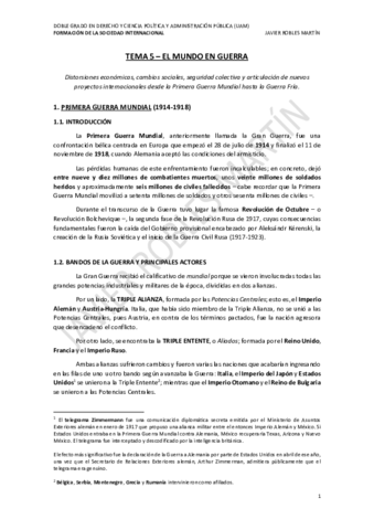 TEMA-5-FSI.pdf