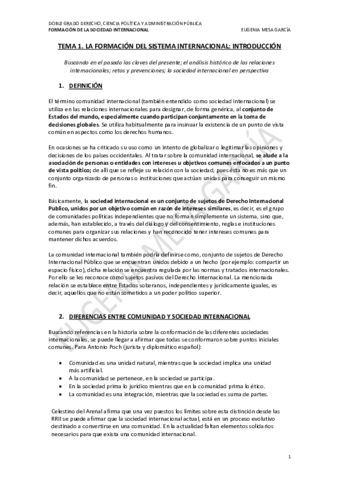 TEMA-1-FSI.pdf