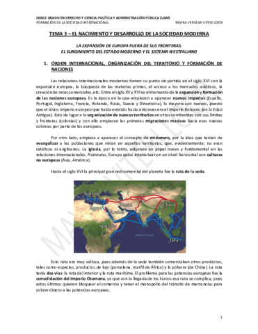 TEMA-3-FSI.pdf