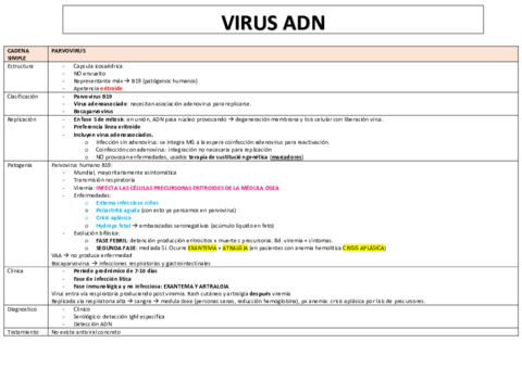 VIRUS-ADN-TABLA-RESUMEN.pdf