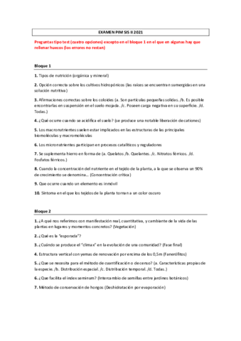 EXAMEN-PIM-SIS-II-2021.pdf