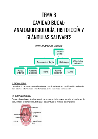 TEMA-6.pdf