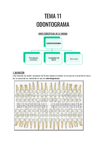 TEMA-11.pdf