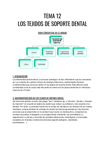 TEMA-12.pdf
