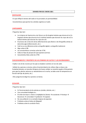 EXAMEN-PIM-SIS-I-ENERO-2021.pdf