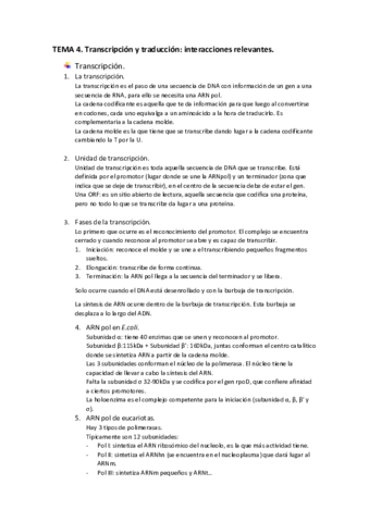 TEMA4-transcripcion.pdf