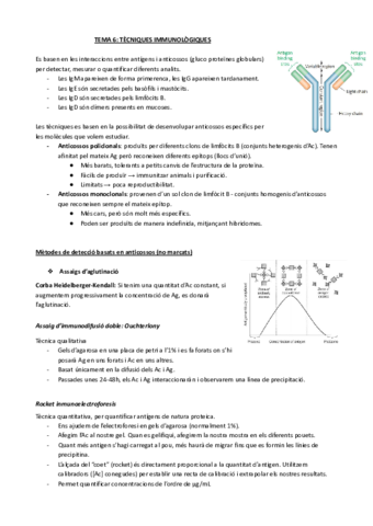 TEMA-6-TECNIQUES-IMMUNOLOGIQUES.pdf