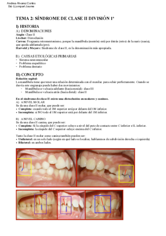 Tema-2-ORTO-IV.pdf