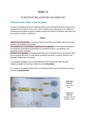 Función de relación en los animales
