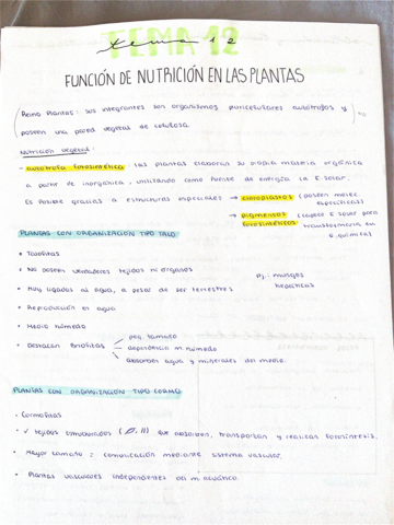 Nutricion-en-las-plantas-.pdf