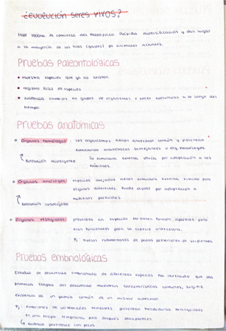 Pruebas-y-teorias-evolutivas-y-bioma.pdf