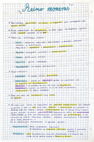 Orden evolutivo (reinos)