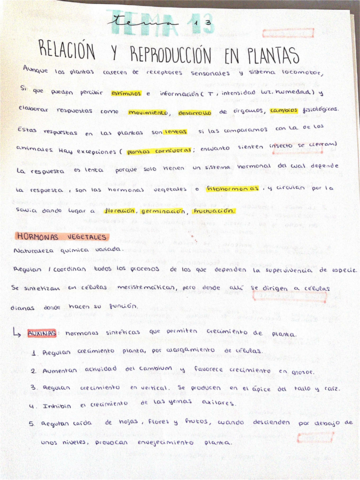 Relación y reproducción en plantas
