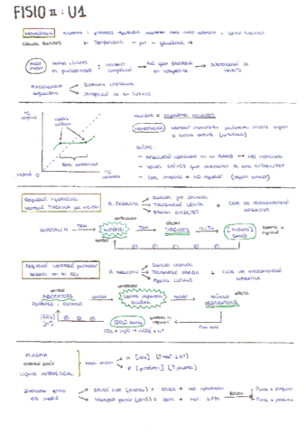 FISIOLOGIA-II-Preguntes.pdf