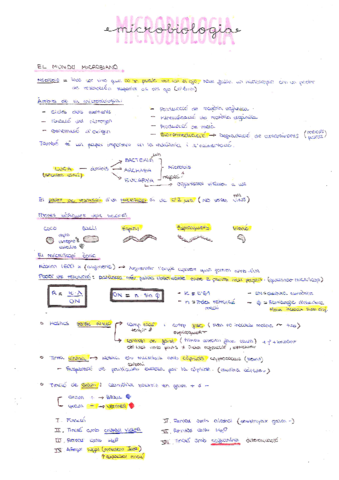 MICROBIOLOGIA-Teoria.pdf