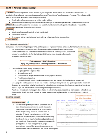 Temas-1-2-3.pdf