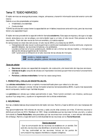 T17-Tejido-Nervioso.pdf