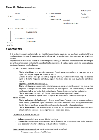 Tema-18-Sistema-nervioso.pdf