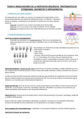 Tema 6.pdf
