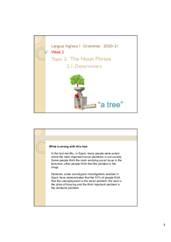 L1-Gram-Wk02-NP-Determiners-v3.pdf