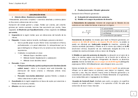 EXPLORACION-DEL-RINON-tema-1.pdf