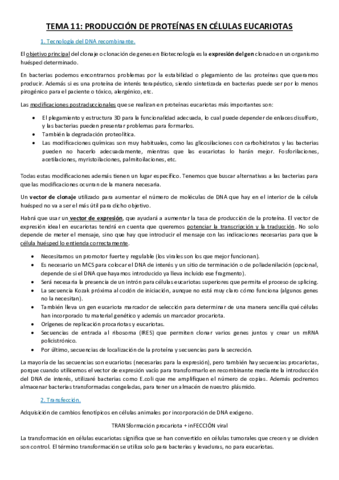Tema 11.pdf