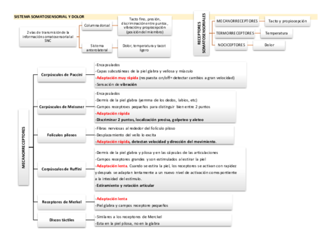 SISTEMA-SOMATOSENSORIAL-Y-DOLOR-Def.pdf