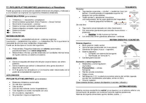 T7-Platelmintos.pdf