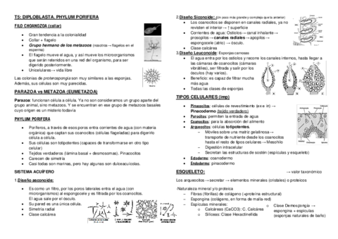 Tema-5.pdf