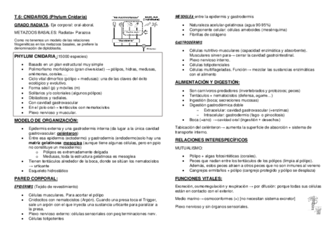 Tema-6.pdf