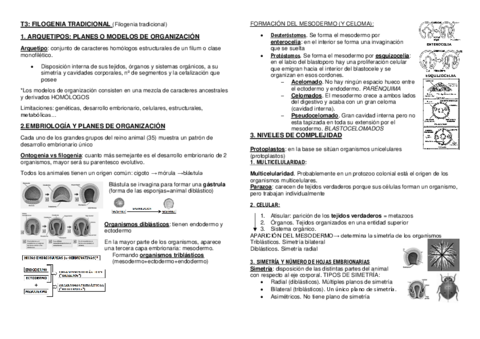 Tema-3-diversidad.pdf