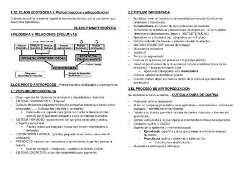 Tema-12.pdf
