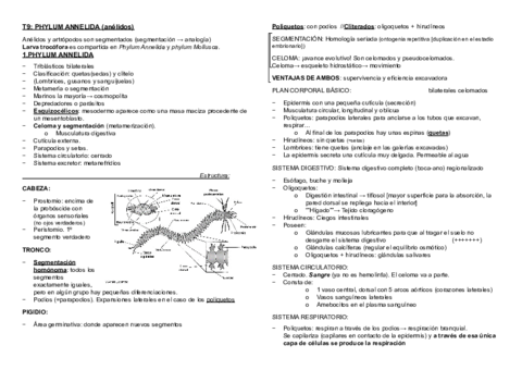 T9.pdf