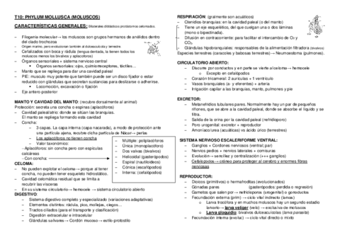 Tema-10.pdf