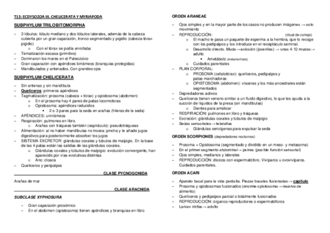 Tema-13.pdf