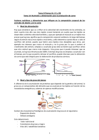 Tema-3-Terminado.pdf