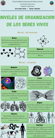 Niveles-de-organizacion-de-los-seres-vivos.pdf