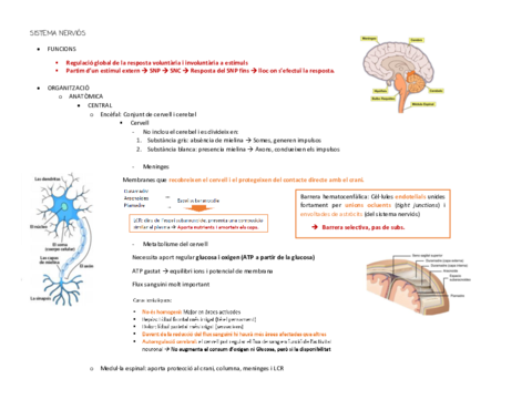 ESQUEMA-SISTEMES-I-APARELLS.pdf